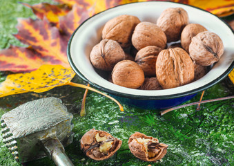 Walnuts in an enamel bowl, broken walnuts, kitchen hammer, fallen yellow leaves on green concrete...