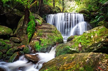  Tranquil lush waterfall in Leura © Leah-Anne Thompson