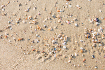 Breaking the shells on the beach is a natural beauty.