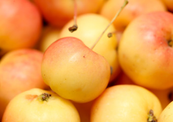 Ripe apples as background
