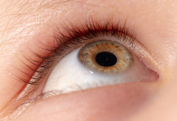 Obraz premium The eye of the boy