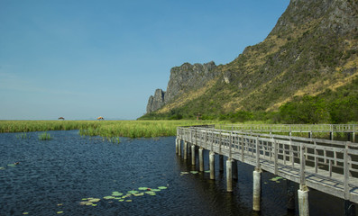 Wooden Bridge in lotus lake