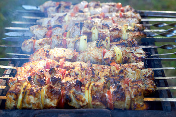 Pieces of juicy slices of marinated pork meat strung on skewers with slices of chopped tomatoes and onion preparing on barbecue grill over charcoal. Shashlik or Shish kebab popular in Eastern Europe.