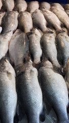 Sales of fresh fish.