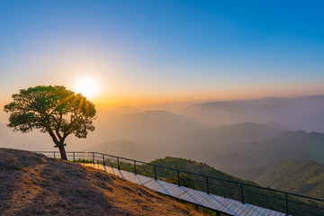 Lonely tree with pathway around the hill against a blue sky during morning sunrise on mountain peak.Autumn landscape with a lonely tree during morning sunrise shine through.
