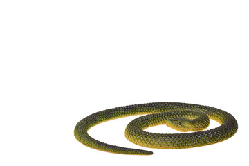 Fake green snake, rubber animal toy isolated