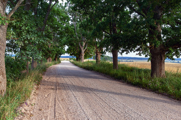 Fototapeta na wymiar Gravel road in countryside.