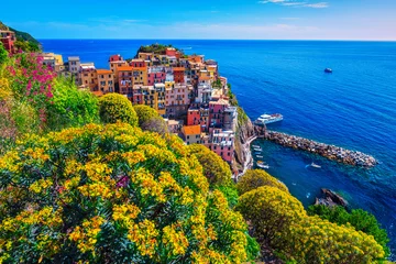 Poster Colorful flowers and touristic fishing village, Manarola, Cinque Terre, Italy © janoka82