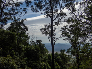 Obraz premium OLYMPUS DIGITAL CAMERA