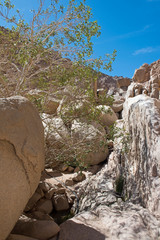 Fototapeta na wymiar Rocky mountain slope in a remote arid desert