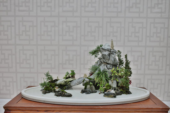Bonsai and Penjing landscape with miniature