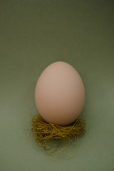 Chicken egg in a small nest on a pale green background.