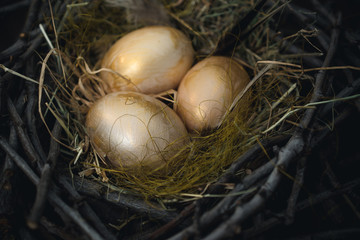 Golden bird eggs in a nest of tree branches and hay on a wooden background.