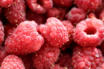 fresh berries of pink raspberry