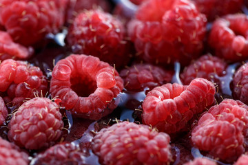 fresh berries of pink raspberry