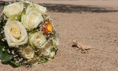 Egyptian desert agama lizard in desert with wedding flower bouquet