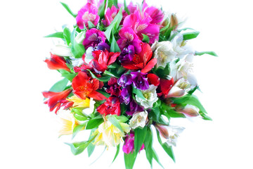 Multicolored alstroemeria lilies flower round bouquet soft focus on white background isolated close up, blurred lily flowers decorative design element for holiday banner, greeting card, floral pattern