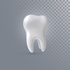 Realistic 3d tooth