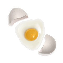 The raw chicken egg, broken egg. Healthy food for breakfast. natural protein and yolk. Illustration in realistic style, isolated on white background. Vector EPS 10