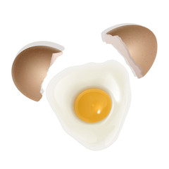 The raw chicken egg, broken egg. Healthy food for breakfast. natural protein and yolk. Illustration in realistic style, isolated on white background. Vector EPS 10