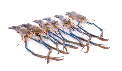 Fresh shrimp,prawn isolated on white background