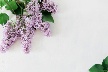 Frame of flowers of lilac on a white background with a texture. Bouquet of lilac color flat lay, top view image