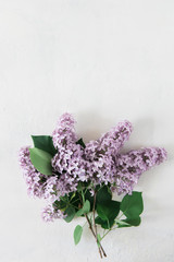 Bouquet of lilac on a white textural background. Spring flowers flat lay, top view image
