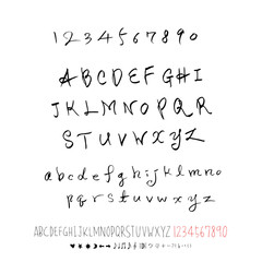 벡터 문자 / 손으로 쓴 글씨체