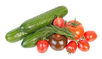 Fresh green cucumbers, different red tomatoes and bundle of green dill leaves isolated on white background. Ingredients for vegetable salad