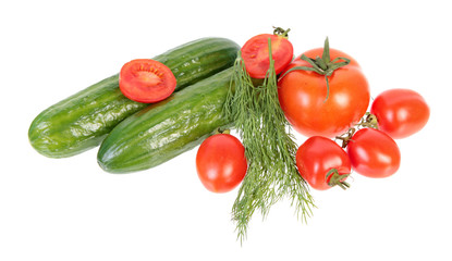 Fresh green cucumbers, different red tomatoes and bundle of green dill leaves isolated on white background. Ingredients for vegetable salad