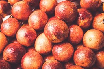 group  of crimsome blood orange in a box. Sanguine background.