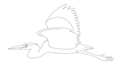 heron bird, vector illustration,lining draw