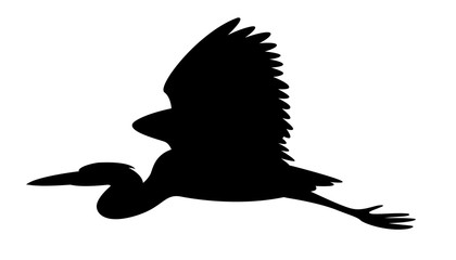 heron bird, vector illustration,black  silhouette