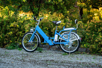 Fototapeta premium Electric bike in the park