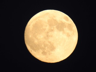 Fototapeta premium Full moon