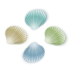 Set of scallop seashells, Vector seashells of cartoon style, illustration isolated on white background