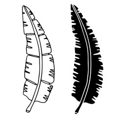 Feathers black silhouette, line art
