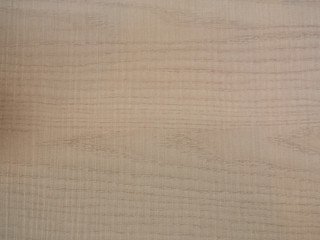 Light wood texture