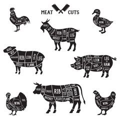 Meat cuts set. Diagrams for butcher shop. Scheme of chicken, beef, pork etc. Animal silhouettes. Guide for cutting.