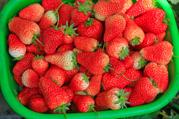 Fresh strawberries, close-up shots