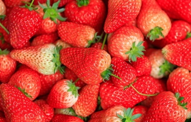 Fresh strawberries, close-up shots