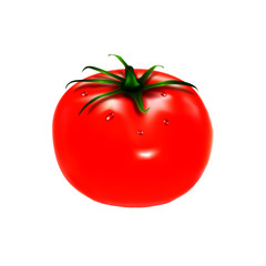 Tomato closeup. Red tomato.