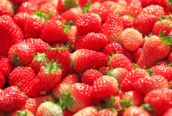 Fresh strawberries, close-up shots