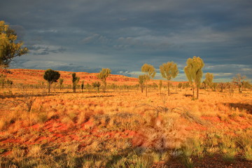 Australian rugged Outback