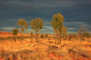 Australian rugged Outback