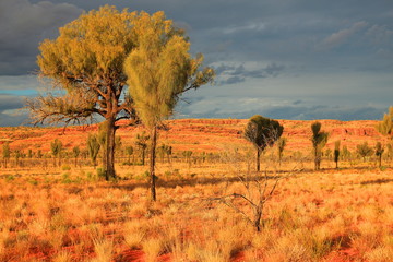 Australian rugged Outback