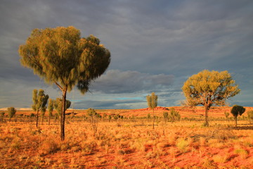 Australian rugged Outback
