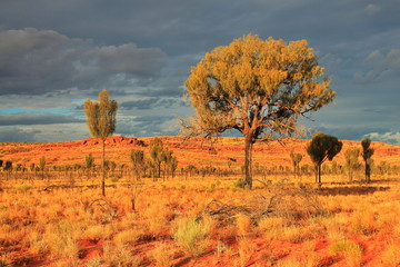 Australian rugged Outback