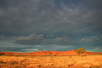 Australian rugged Outback