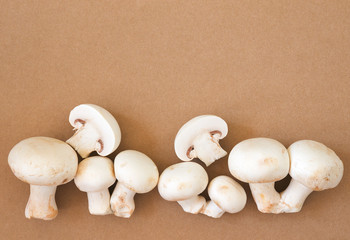 Fresh white mushrooms champignon isolated on a brown background and free space for text.Top view